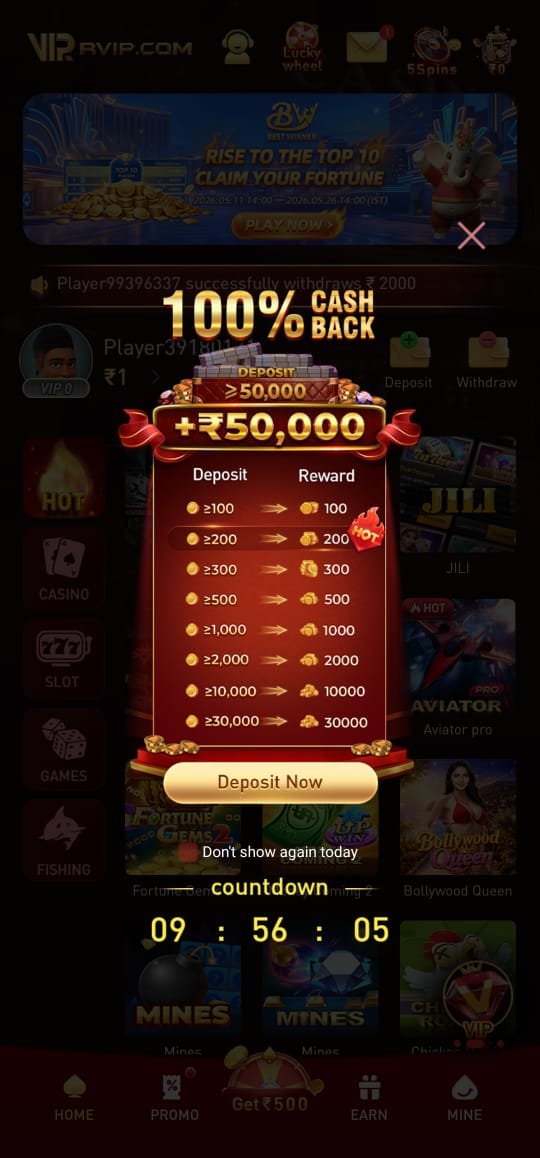Rvip screenshot 4